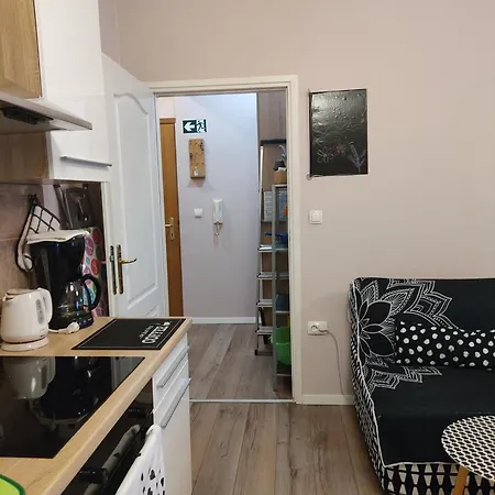 アパート Cozy Ap Rubin, Centre, Fully Furnished, Free Wifi リエカ